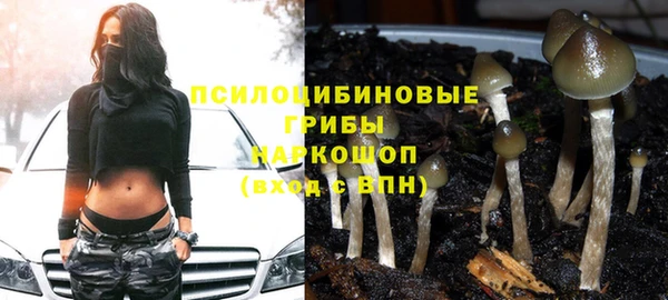 метадон Приозерск