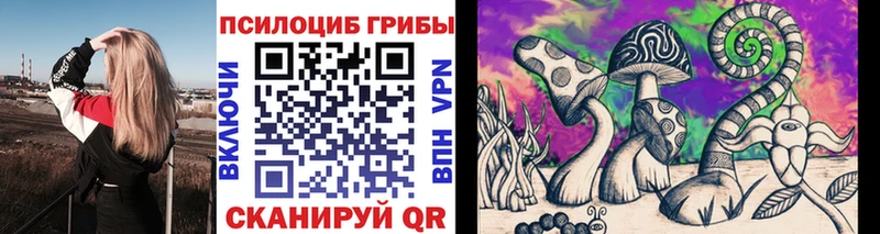 Галлюциногенные грибы Magic Shrooms  сайты даркнета состав  Слюдянка 
